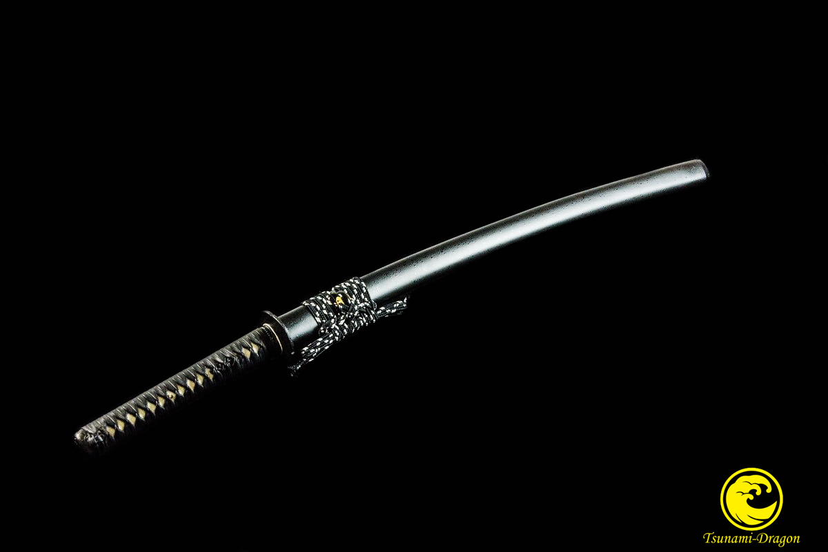 iaido swords